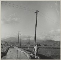 藏品(〈歐巴桑〉)的圖片