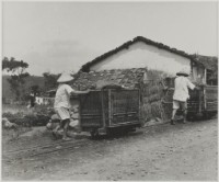 藏品(〈烏來台車〉)的圖片