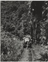 藏品(〈烏來台車〉)的圖片