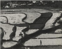 藏品(〈田園景色〉)的圖片