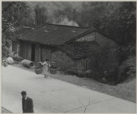 藏品(〈臺北近郊〉)的圖片