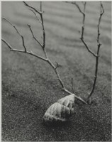 藏品(〈海邊一角〉)的圖片