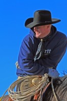 藏品(〈牛仔〉)的圖片