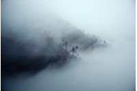 藏品(〈晨霧〉)的圖片