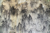 藏品(〈歲月遺痕〉)的圖片