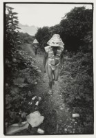 藏品(〈戴銀盔的人〉)的圖片