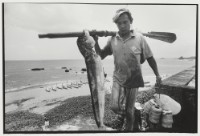 藏品(〈捕獲-鬼頭刀〉)的圖片