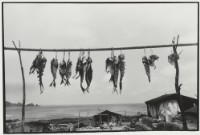 藏品(〈曬魚的杆架〉)的圖片