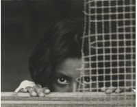 藏品(〈窺〉)的圖片