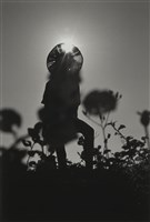 藏品(〈立朝陽〉)的圖片