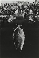 藏品(〈漁市〉)的圖片