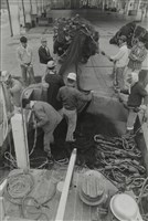 藏品(〈東港漁港〉)的圖片