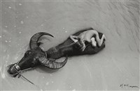 藏品(〈悠然〉)的圖片