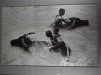 藏品(〈與牛共舞〉)的圖片