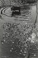 藏品(〈牛與鴨〉)的圖片