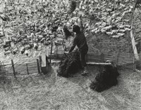 藏品(〈養鴨的農婦〉)的圖片