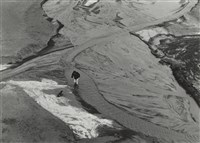 藏品(灘地上的人與狗)的圖片