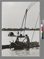 藏品(〈東港溪〉)的圖片