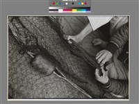 藏品(〈補網人手與腳〉)的圖片