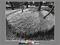 藏品(〈初雪〉)的圖片