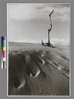 藏品(〈九棚沙丘〉)的圖片