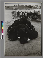 藏品(〈整裝待發〉)的圖片