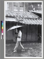 藏品(〈在雨中〉 )的圖片