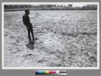 藏品(〈農民的苦〉 )的圖片