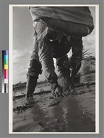 藏品(〈蒔田(耕田人家)〉 )的圖片