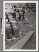 藏品(劉安明作品97)的圖片