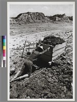 藏品(〈墾土〉 )的圖片