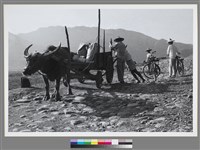 藏品(〈山牛車〉 )的圖片