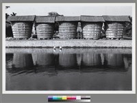 藏品(〈酸菜桶，海豐〉)的圖片