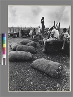 藏品(〈响潭番薯市〉)的圖片