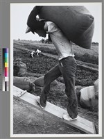 藏品(劉安明作品130)的圖片