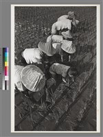 藏品(〈一馬當先〉)的圖片