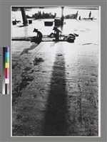 藏品(〈斜陽〉)的圖片