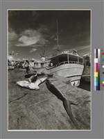 藏品(〈碼頭偶拾〉)的圖片