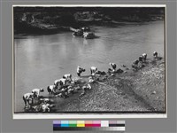 藏品(〈河邊早晨，高美(河邊．圳邊．情誼物語)〉)的圖片