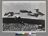 藏品(〈農閒季節，美濃〉)的圖片