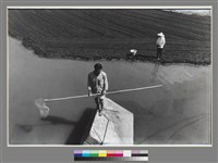 藏品(〈靜待上網〉)的圖片