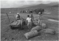 藏品(劉安明作品176)的圖片