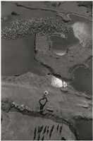 藏品(〈鳥瞰河床〉)的圖片