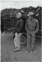 藏品(〈漁舟頭家〉)的圖片