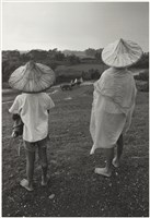 藏品(〈回首看系列〉)的圖片