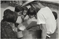 藏品(〈好奇〉)的圖片