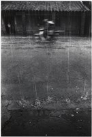 藏品(〈急時雨〉)的圖片