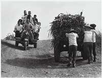 藏品(〈斜坡上〉)的圖片