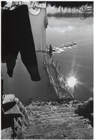 藏品(〈晨陽〉)的圖片