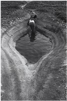 藏品(〈河床上的西瓜園系列〉)的圖片